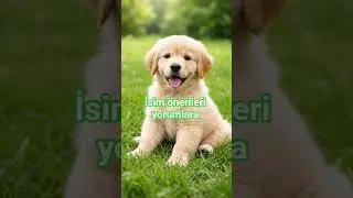 En beğendiğim isme kalp bırakacam