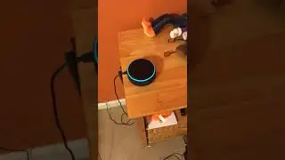 intruder alert