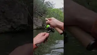Вот это ПОРЫБАЧИЛИ 😳 #shorts #рыбалка #trout