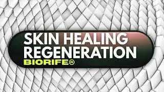 ★ Skin Repair Biorife&reg; Frequency Therapy ★