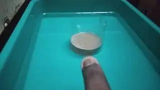 Artemia culture making without air pumps in tamil🐠🐟