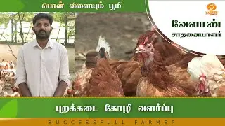 புறக்கடை கோழி வளர்ப்பு | Successful Farmer #farming #farm
