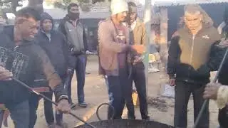 કુતરો માટે શિવા