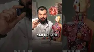 NAD по вене