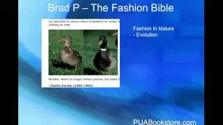 Fashion Bible Review - Brad P and the Right Way to Dress Well