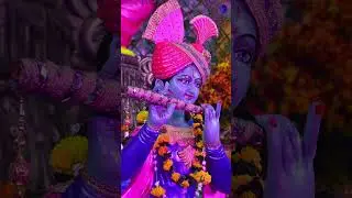Krishna Janmashtami #shorts