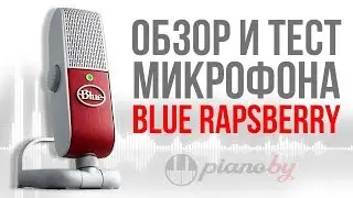 Микрофон Blue Raspberry. Он того стоит??