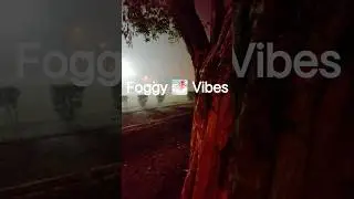 A quiet road, misty air, and peace you can feel 🌫️✨Foggy vibes 🌫️#viral  #aestheticvibes#reelsvideo