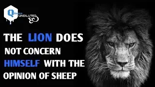 14 Best Courage Quotes || Powerful Lion Motivation