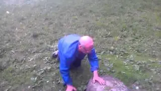 Весёлый 