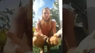 Story Of How The Lemon Ginger Blast Juice Dramatically Healed Me!