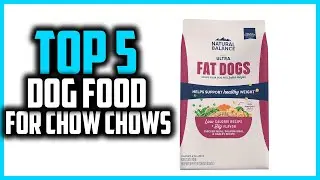✅Top 5 Best Dog Food For Chow Chows in 2025