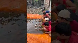 Tiếp tục t&igrave;m ra người sở hữu ghe bo bo mạnh nhất x&oacute;m #shortvideo