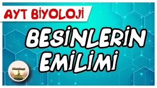AYT Biyoloji | Besinlerin Emilimi #sayfa72