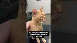 Kittyo said enough of that he doesn&rsquo;t care what&rsquo;s real or what&rsquo;s not beef is beef