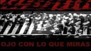 More Amore (Laura Calvarro) Demo o6