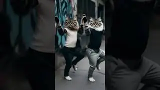 crazy dance &hearts;️ #trend #cat #shortvideo