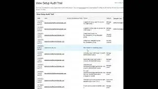 How and When to use Setup Audit Trails?
