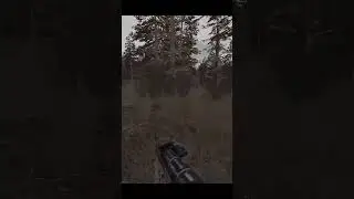 Затвор Передёрнул #armstalkeronline #armstalker #armstalkerrp #stalkeronline #short