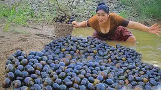 survival in the rainforest - Found Snail at river - Cooking Soup Snail  Eating delicious HD