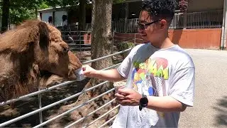 My Trip to Branson, Missouri #branson #summervacation
