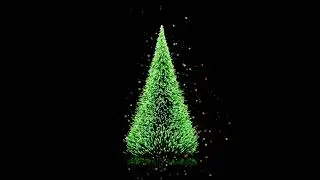 Echoes Of December