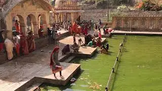 Monkey Temple, Jaipur India