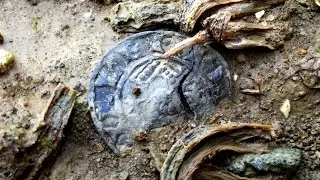 Norman Penny Of William The Conqueror Found Metal Detecting With XP Deus