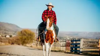 Dollar 2020 APHA Gelding by FSR Horses