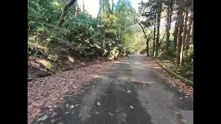 筑波山 裏不動ダウンヒル【DAHON】Speed Falco