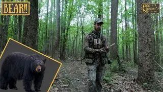 Bears and Hens! - Turkey Hunting West Virginia! | Spring Turkey 2025