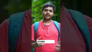 The CFAL Journey to Academic Excellence
