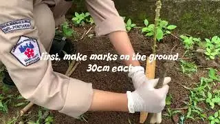 SAMPLING OF DISTURBED SOIL SAMPLE , cahya tri ayunanda xi apl 1