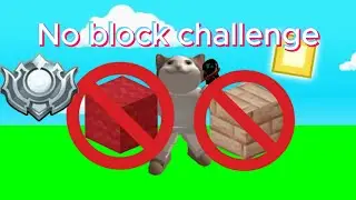 I DID the No block challenge in (Roblox BedWars)