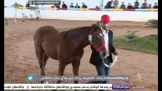مزاد الخيول العربية الأصيلة والمهجنة في نادي ليبيا للفروسية