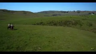 Estero Americano Ranch