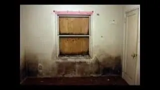 Mold Removal West Palm Beach FL Service Call (561) 541-5641 Restore & More, LLC