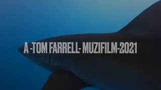 Shark Tunnel   SD 480p