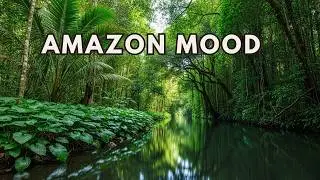 AMAZON MOOD – Brazil Rainforest for Deep Focus