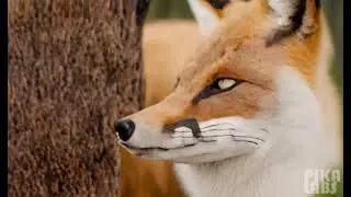 Enchanting Biopunk Cyborg Forest: A Captivating Journey 🌿🌌🦊