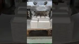 ECO Paper Food Tray Making Machine | Carton Plate & Pulp Molding Equipment for Sustainable Packaging