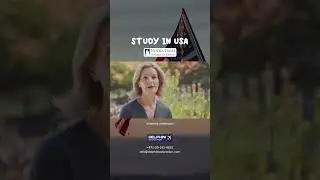 Study | Work | Settle in the USA