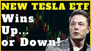 This NEW Tesla ETF Wins if TSLA Goes Up or Down