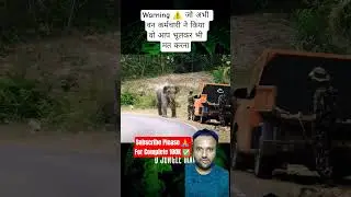 Elephant Trying To Attack On Forest Worker What Happened Next? #shorts #highlights #elephant #viral