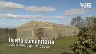 Proyecto 