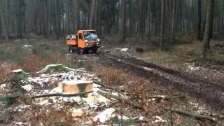 Multicar m26 im Wald