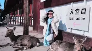 EP2: JAPAN TRIP | KYOTO DAY 3 & 4 (Nara Park, Uji, Fushimi Inari Taisha, Kiyomizu-dera + Kimono)