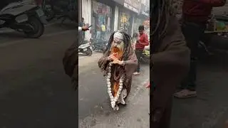 Ram Chander Shankar ka bhajan kar #bholenath #mahadev #shivshankar #harharmahadev #mahakal #shiv