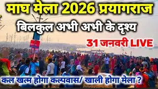 Prayagraj Magh Mela 2026 II अभी अभी के दृश्य II कल खत्म हो जायेगा सनातन का समागम II Prayagraj live