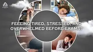 Massage for Students | Improve Memory, Focus & Exam Performance &ndash; Elegraunt Foot Spa Eugene OR